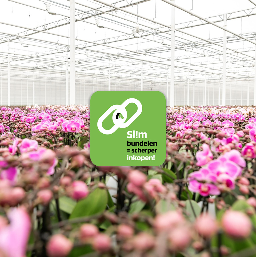 Afbeelding voor categorie Sl!m bundelen = scherper inkopen!